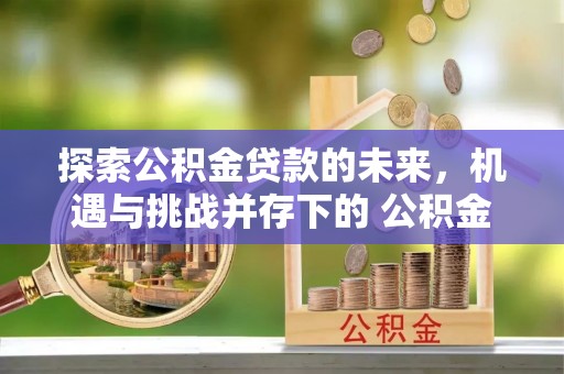 甘洛探索公积金贷款的未来，机遇与挑战并存下的 公积金贷款风险防控