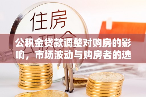 甘洛公积金贷款调整对购房的影响，市场波动与购房者的选择