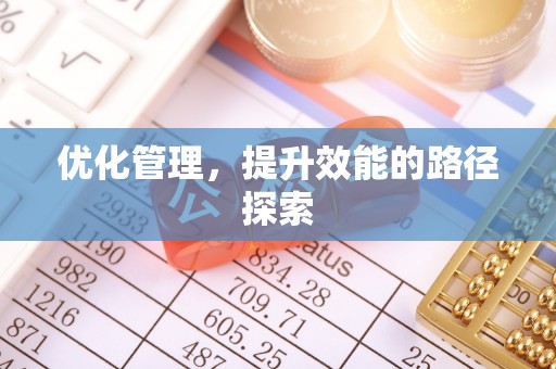 甘洛优化管理，提升效能的路径探索