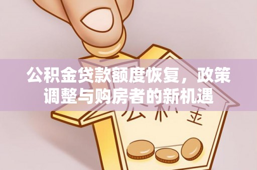 甘洛公积金贷款额度恢复，政策调整与购房者的新机遇