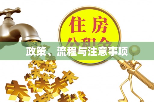 甘洛政策、流程与注意事项