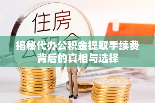 甘洛揭秘代办公积金提取手续费背后的真相与选择