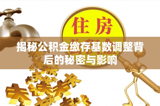 甘洛揭秘公积金缴存基数调整背后的秘密与影响