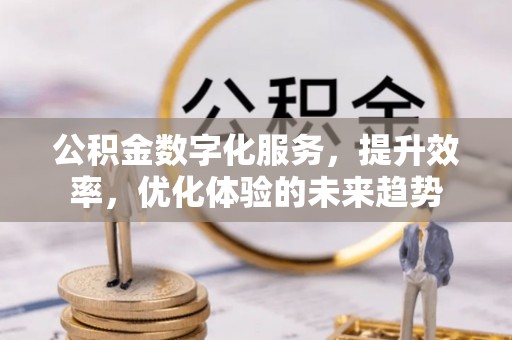 甘洛公积金数字化服务，提升效率，优化体验的未来趋势