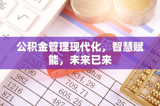 甘洛公积金管理现代化，智慧赋能，未来已来
