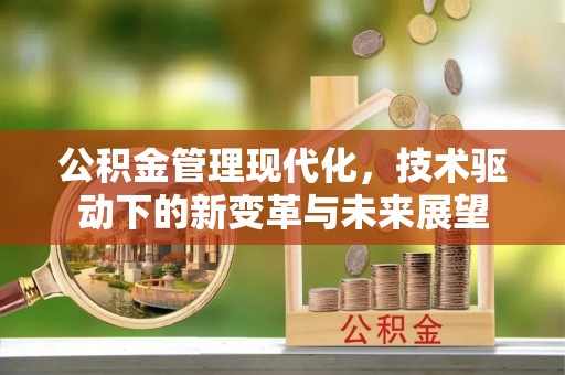 甘洛公积金管理现代化，技术驱动下的新变革与未来展望