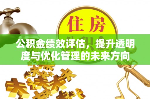 甘洛公积金绩效评估，提升透明度与优化管理的未来方向
