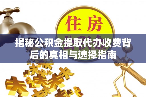 甘洛揭秘公积金提取代办收费背后的真相与选择指南