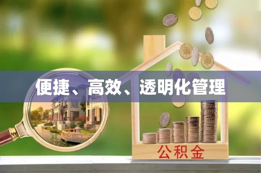 甘洛便捷、高效、透明化管理