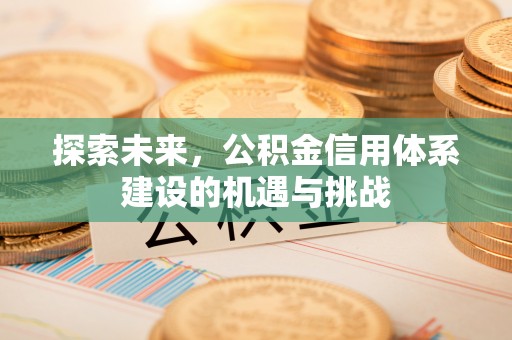 甘洛探索未来，公积金信用体系建设的机遇与挑战
