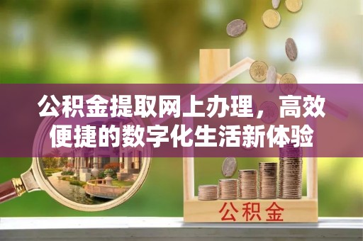 甘洛公积金提取网上办理，高效便捷的数字化生活新体验