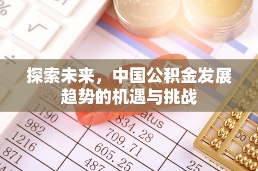 甘洛探索未来，中国公积金发展趋势的机遇与挑战