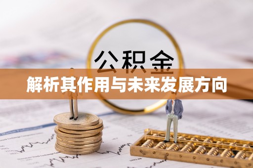 甘洛解析其作用与未来发展方向